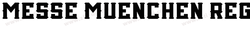 Messe Muenchen Regul字体转换
